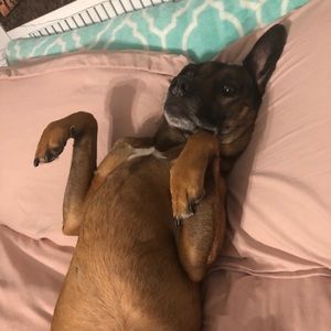 Meet your Posher, Athena